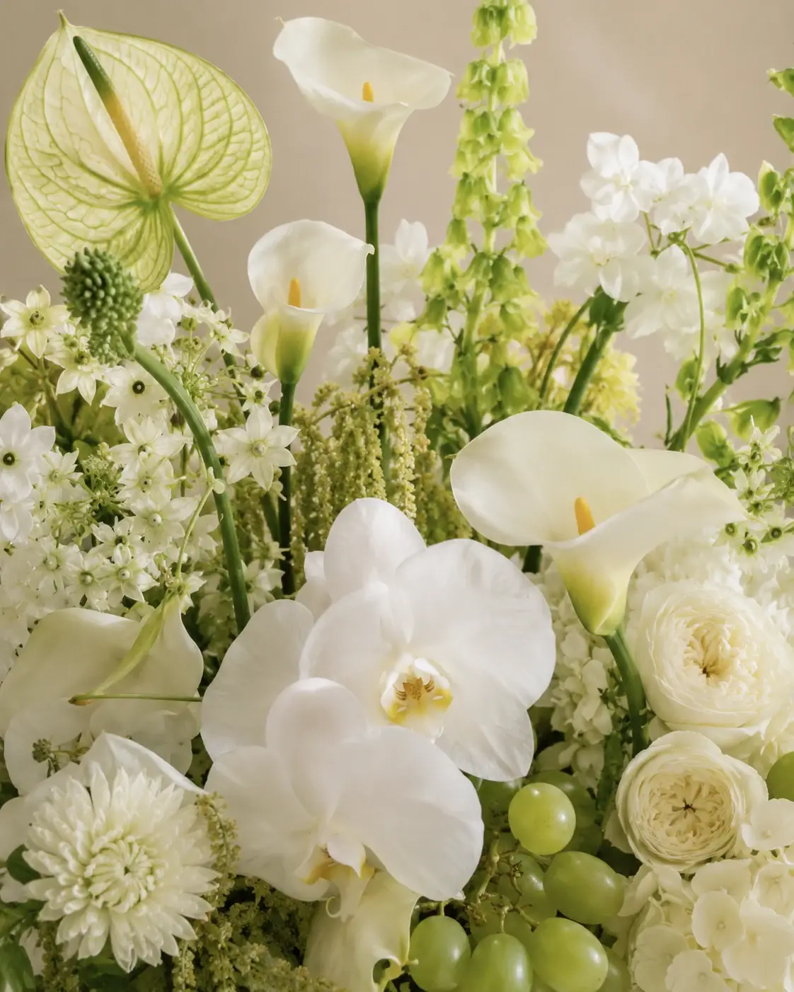 Flores brancas e folhagens verdes em close